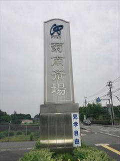 このような汚れにも対応してます。(洗浄後)